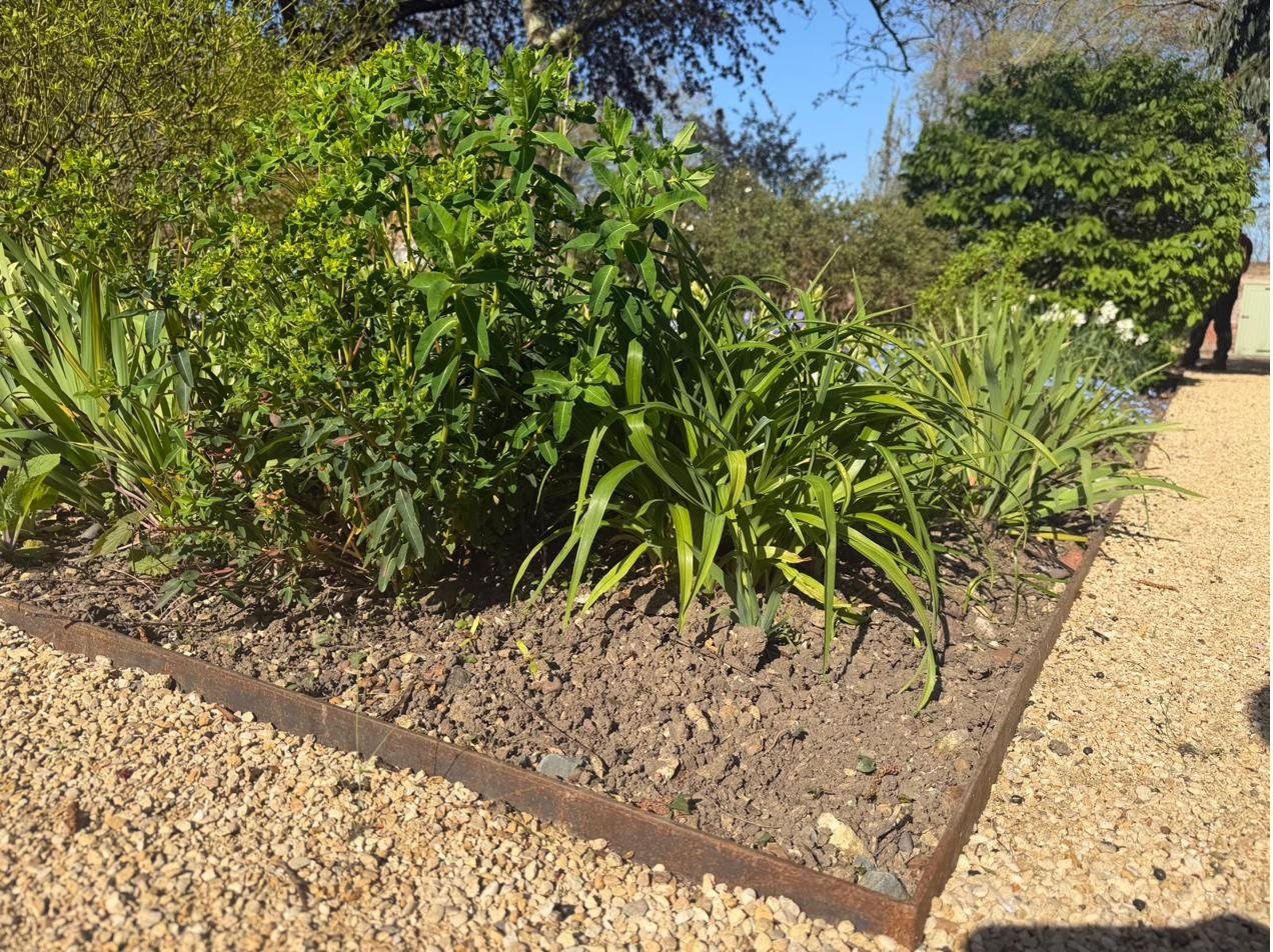 Corten steel edging along a planted garden bed